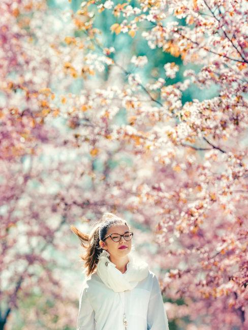 Passeggiata tra i ciliegi in fiore