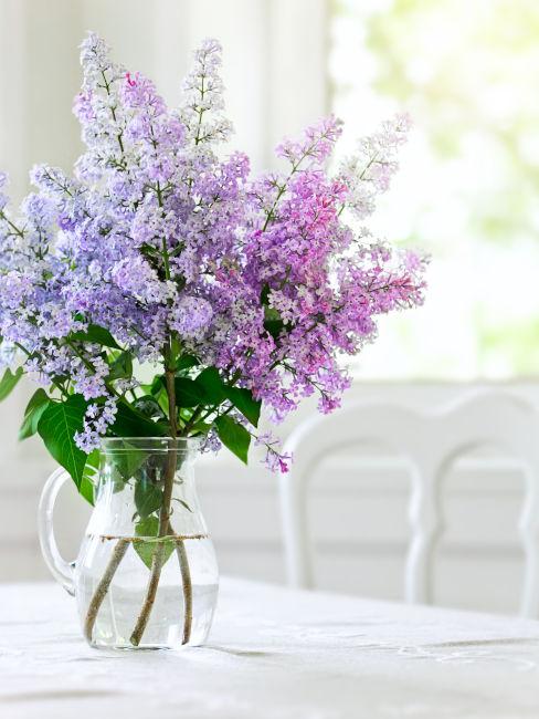 Brocca in vetro con fiori freschi