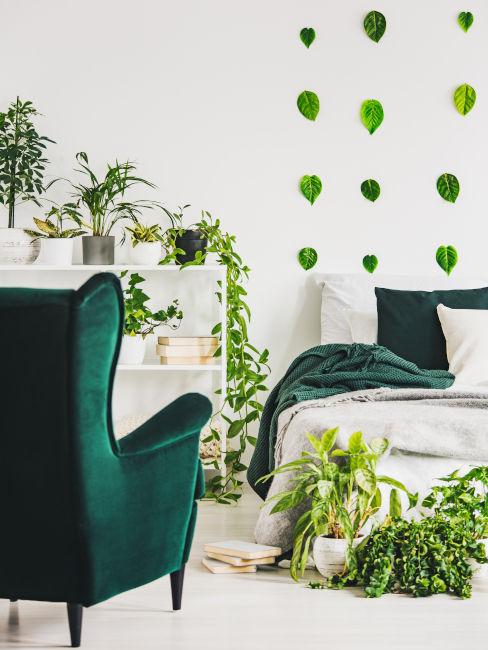 Camera da letto bianca e verde