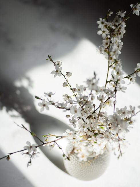 Vaso in vetro con fiori di ciliegio