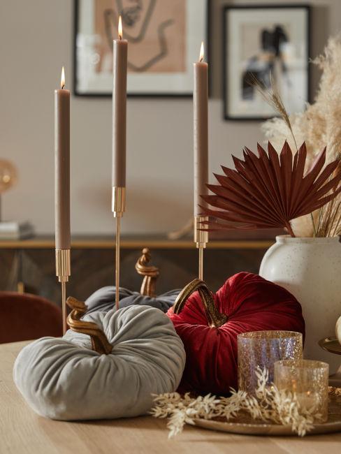 zucche decorative colorate