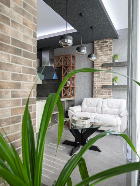 divano bianco con mensole piante