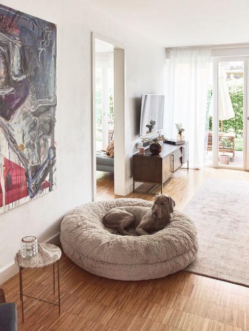cane seduto con grande quadro
