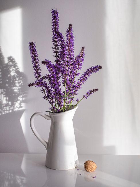 Vaso lattiera con fiori di lavanda