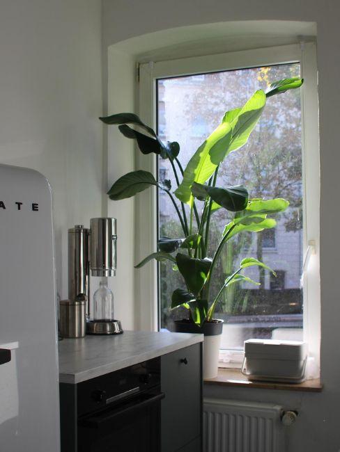 banano da interno in appartamento