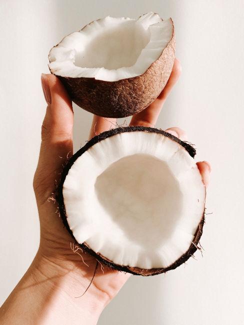 Cocco