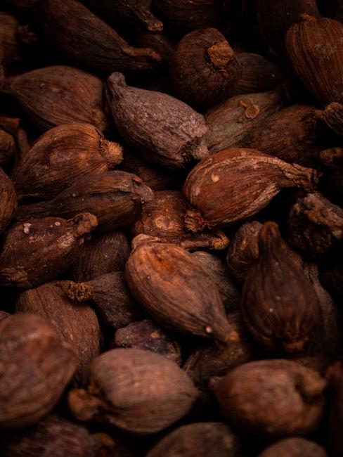 Cacao