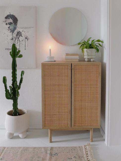 cactus alto accanto a mobile