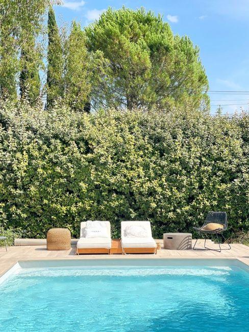 siepe per schermare il giardino