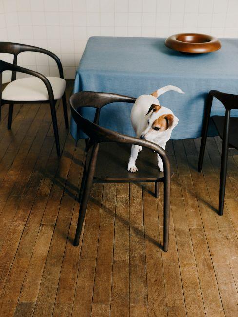 sedia camille westwing collection