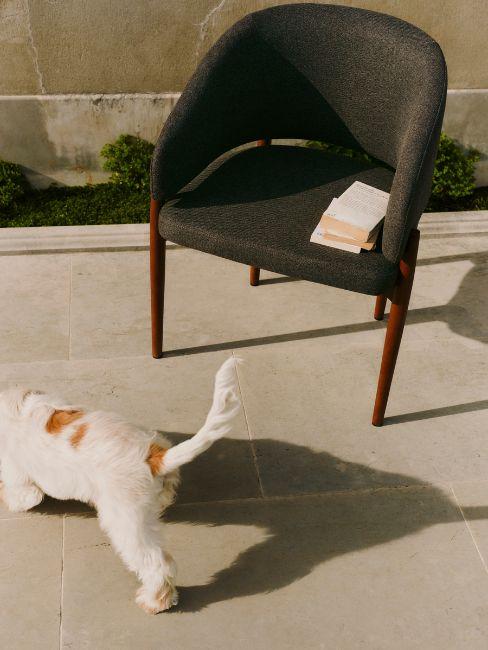 sedia nemo westwing collection