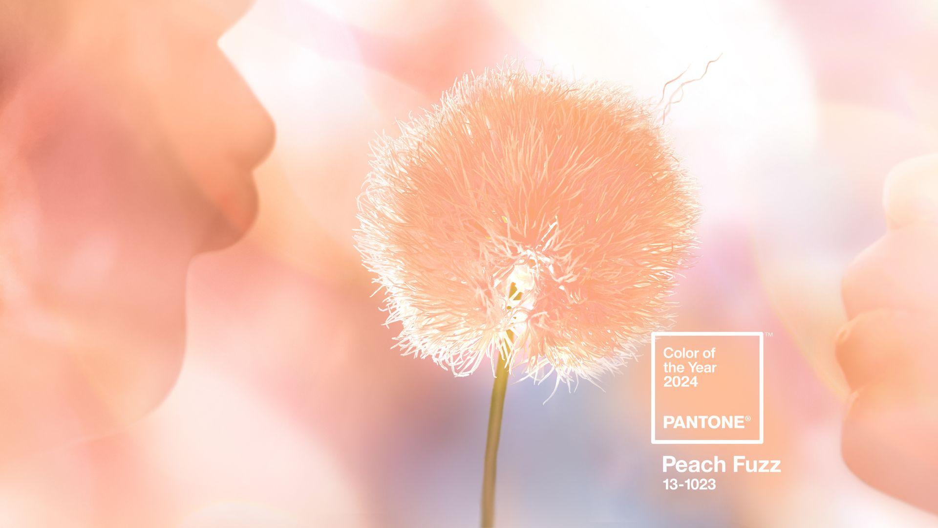 pantone 2024 peach fuzz
