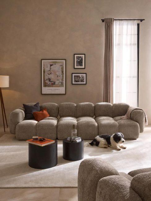 canapé bouclette Tayla taupe avec tapis beige clair et chien noir et blanc