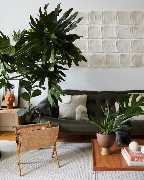 kamerplant in scandi woonkamer