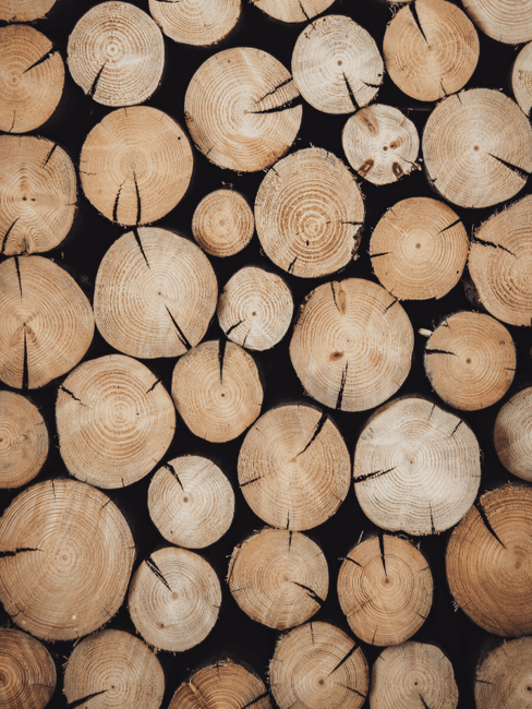 Boomstam tafel Gerooide bomen gestapeld