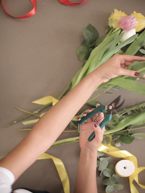 Tulpen snijden