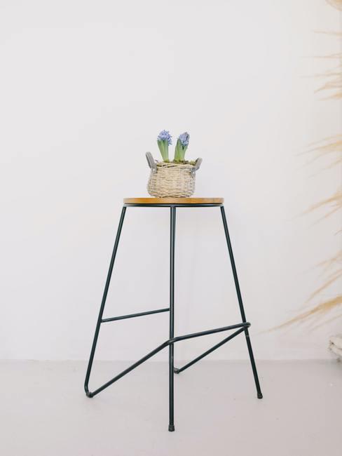Cactus in een pot op een bijzettafel