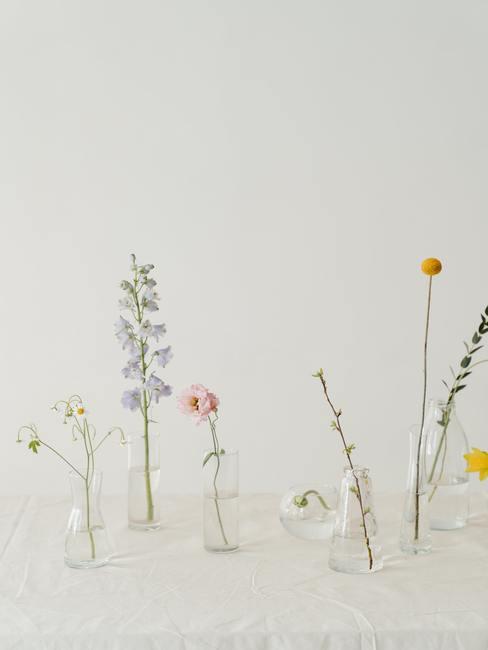 Een eenvoudige opstelling van planten in een modernistische vaas in Japanse stijl Ikebana