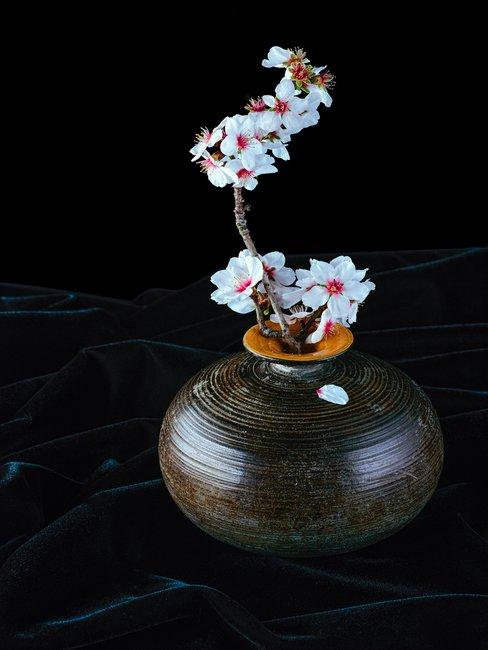 Roze bloem in zwarte vaas in Japanse stijl Ikebana