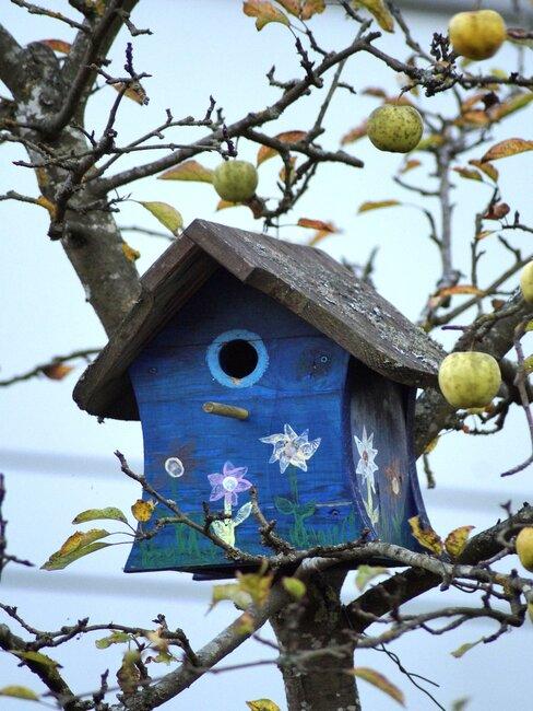 vogelhuis-maken_1 blauw vogelhuisje in fruitboom