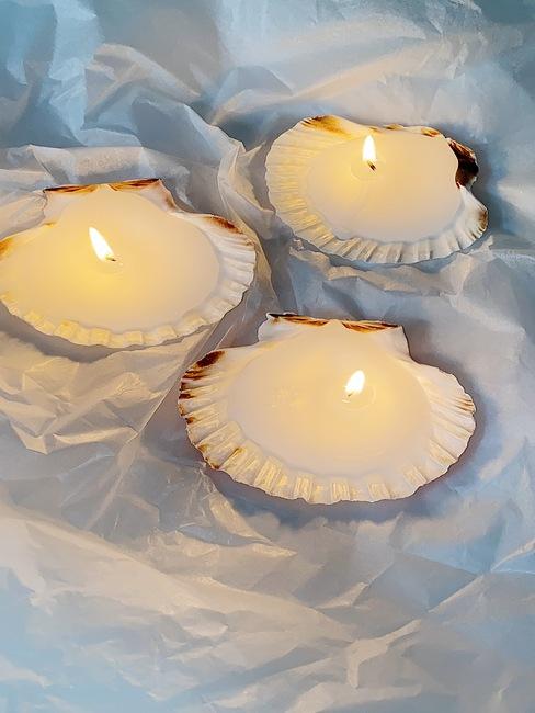 Shell candles