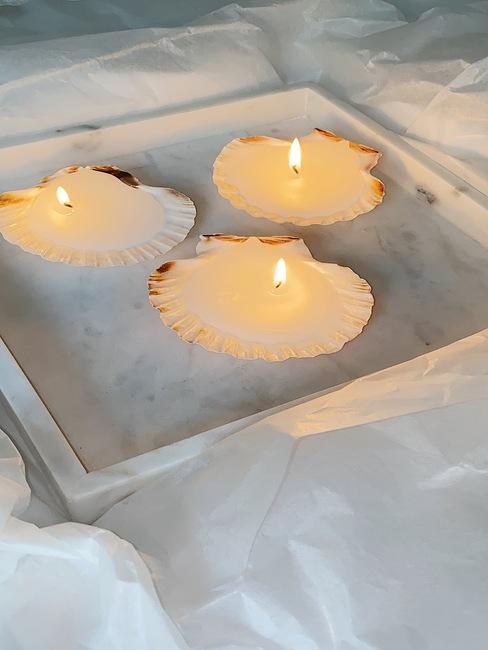 shell candles