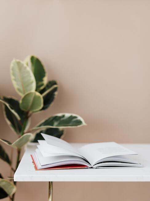 Open leesboek op tafel met kamerplant