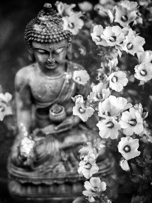 zwart witte buddha met bloemen