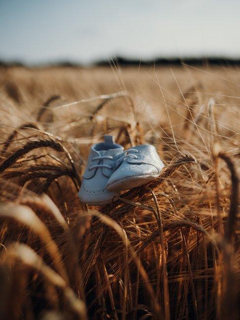 Kraamcadeau-banner Baby schoenen in maisveld
