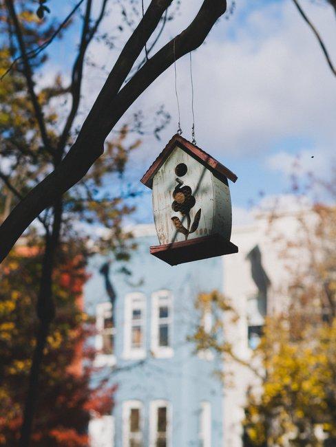 Wit vogelhuisje aan boom zonder bladeren met huis op de achtergrond