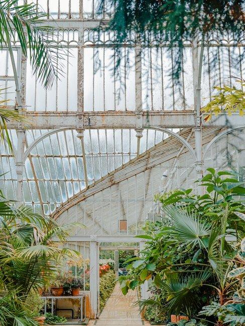 Witte kas met glas en botanische tuin en planten