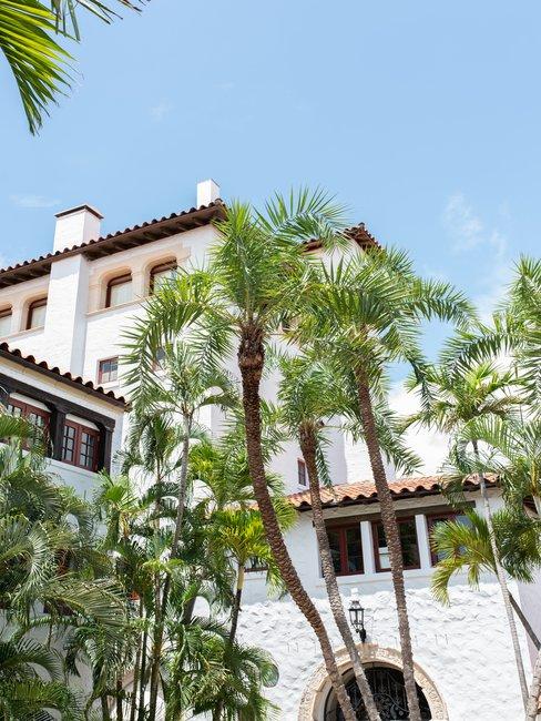 Palmbomen voor wit vakantiehuis met blauwe lucht