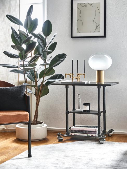 plant in witte pot met zwarte tafel en zwarte lijst