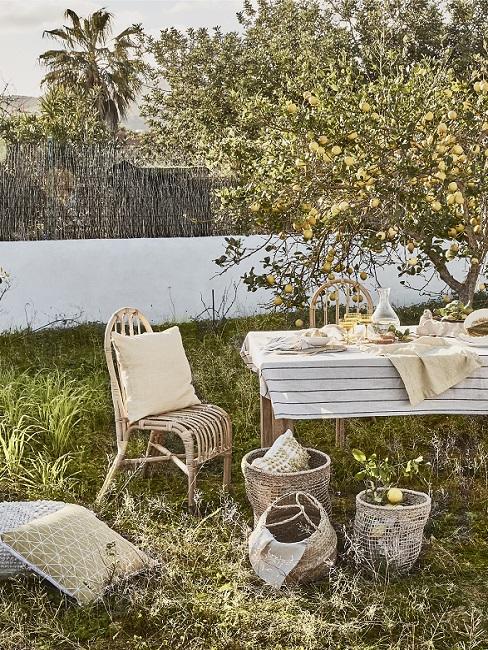Achtertuin met gras en grote fruitboom met houten tafel en loungestoel