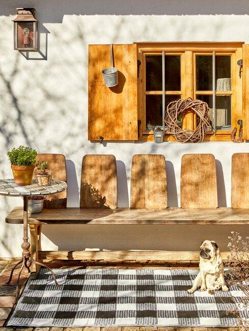 hond op kleed in tuin