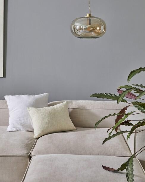 kamerplant onder een lamp