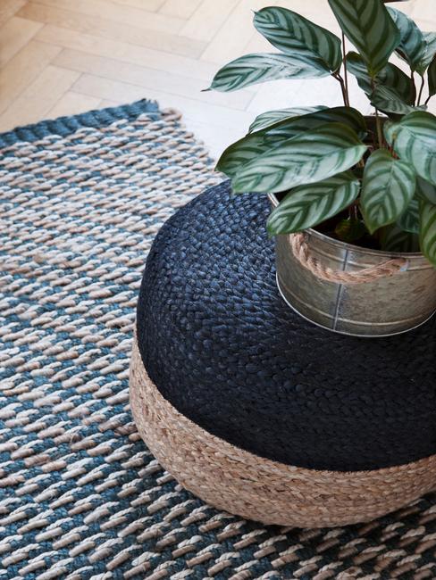 calithea plant op rotan poef en vloerkleed