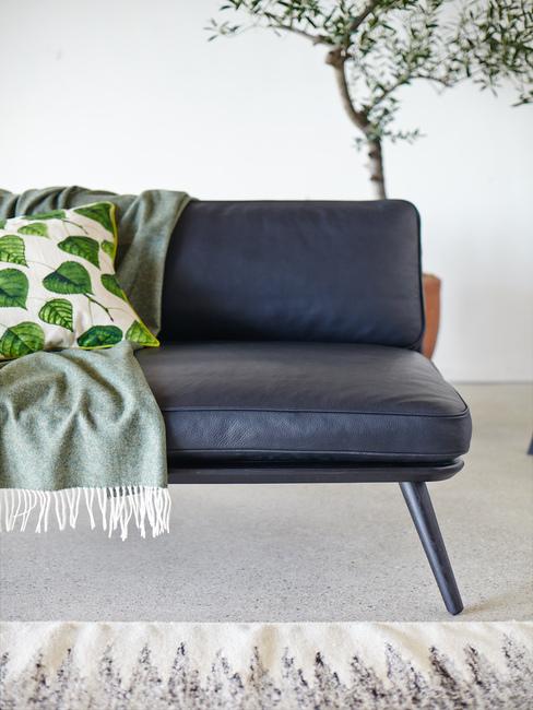grote indoor plant in woonkamer achter leren bank