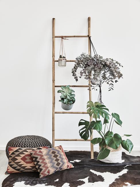 decoratieve houten ladder met groene planten voor in de woonkamer