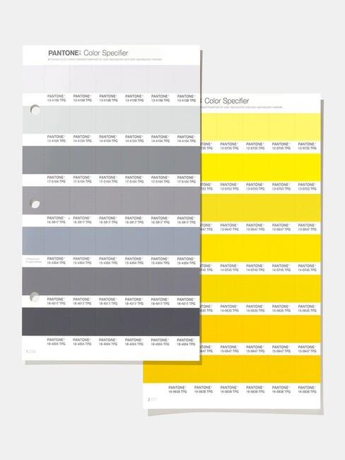Kleurenpallet met grijs en geel
