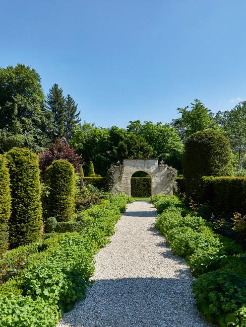 Tuin met planten en struiken