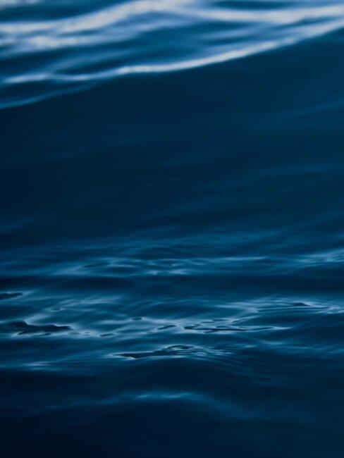 Indigo