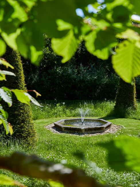 bomen, struiken en planten in de tuin