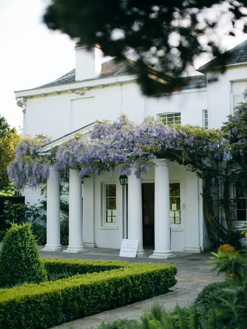 Huis met planten die het gebouw beklimmen