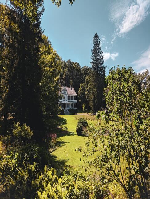 herfst aura in de tuin