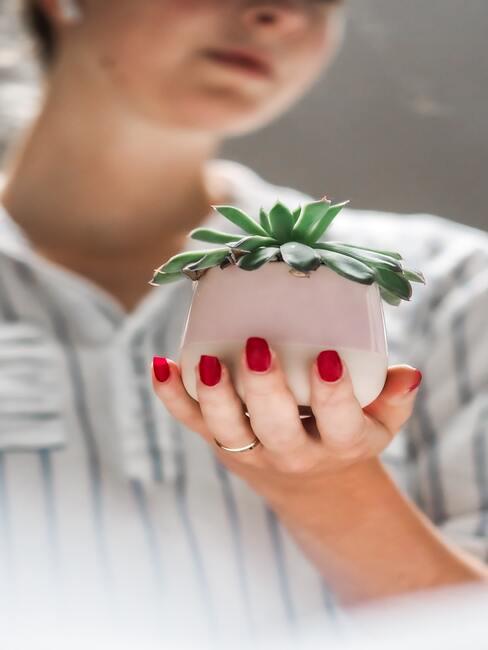 Vrouw houdt plantje in haar hand