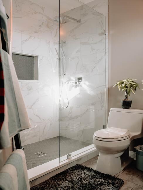 tv en glas voor douche