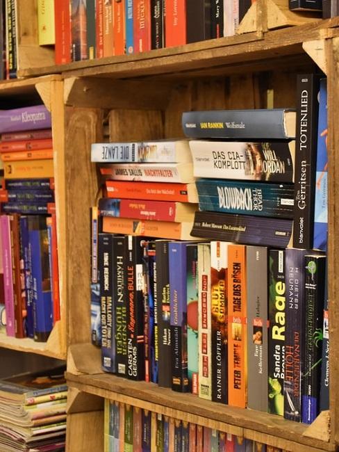 de planken staan ​​vol met boeken