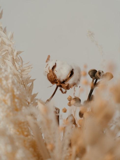 droogbloemen maken