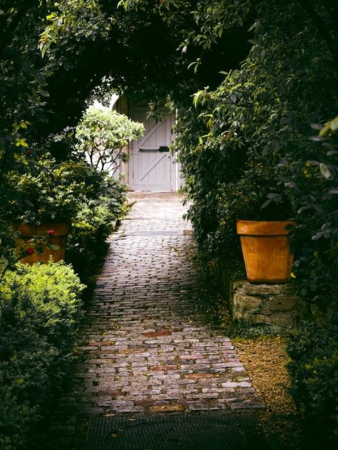 tuin met veel schaduw
